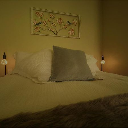 Pyes Pa Studio Apartment Tauranga Exterior photo