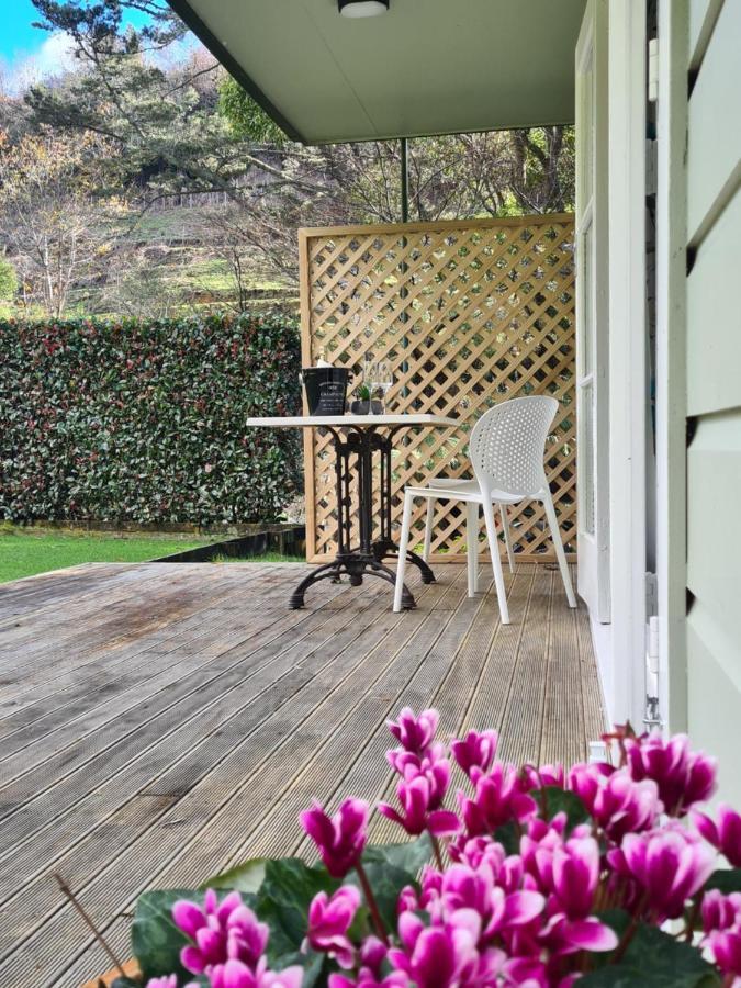 Pyes Pa Studio Apartment Tauranga Exterior photo